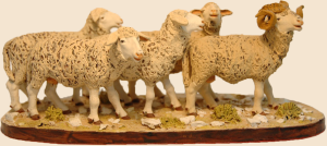 4 mouton 1 belier