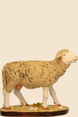 mouton3